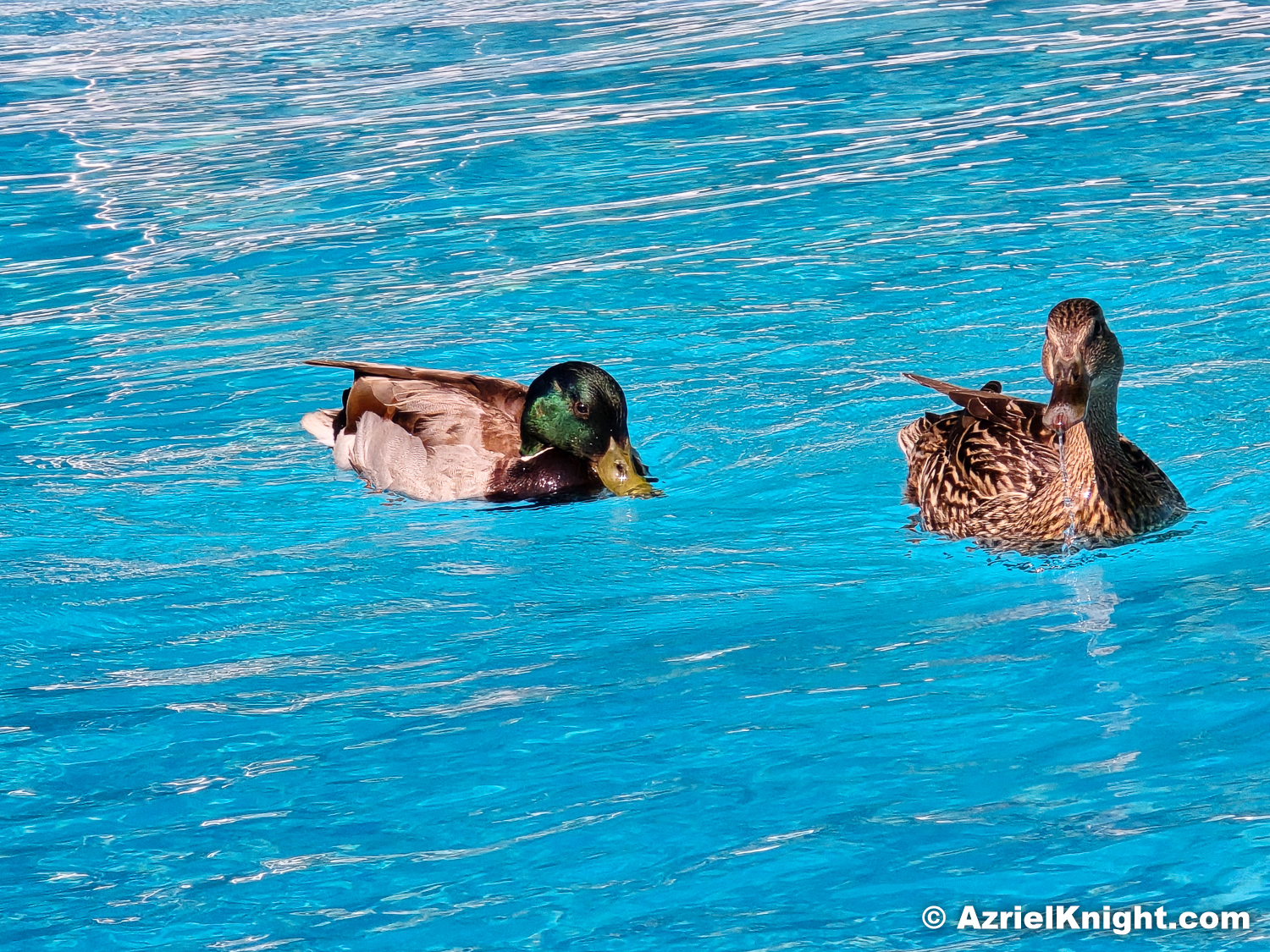 A Layover – Travel Photography – Trans-Canada ’25 (VI)